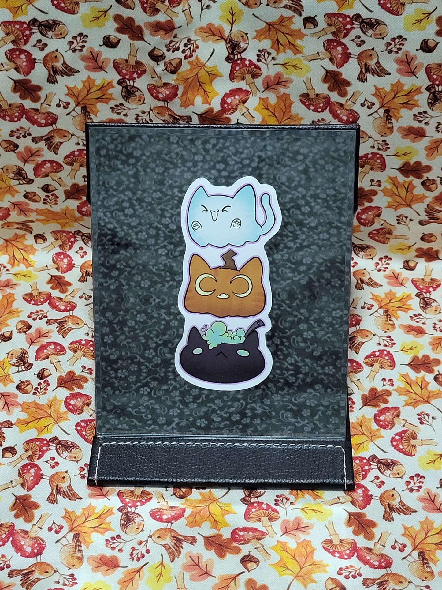 Spooky cats