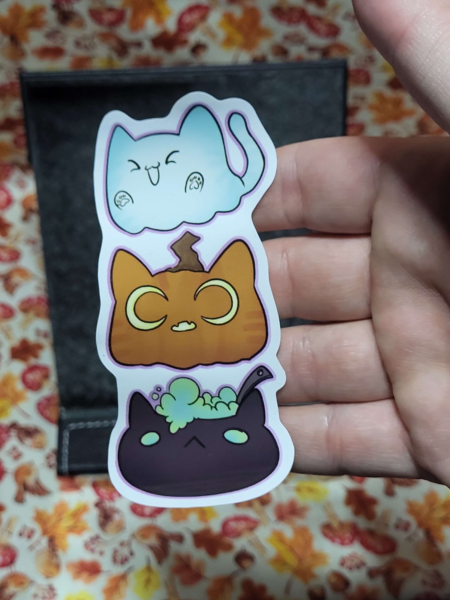 Spooky cats