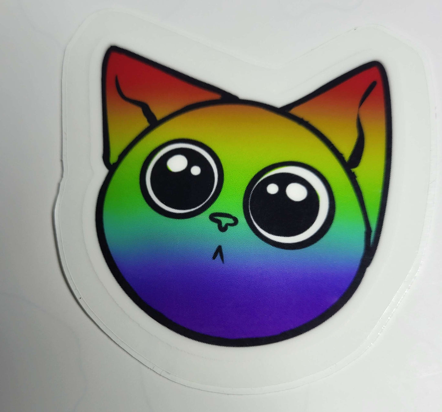 Pride cat
