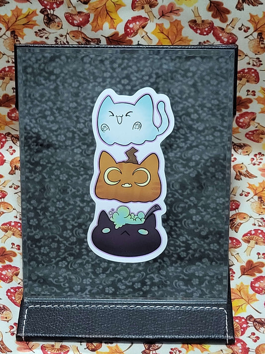 Spooky cats