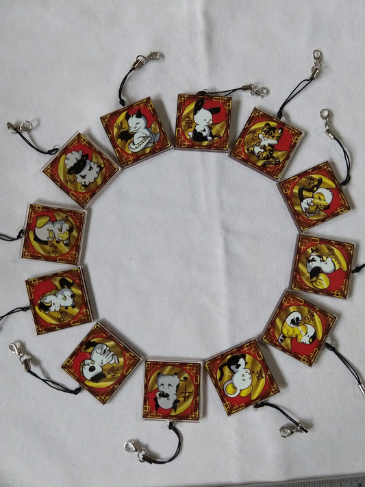 Zodiac charms